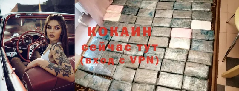 купить   Валуйки  COCAIN Fish Scale 